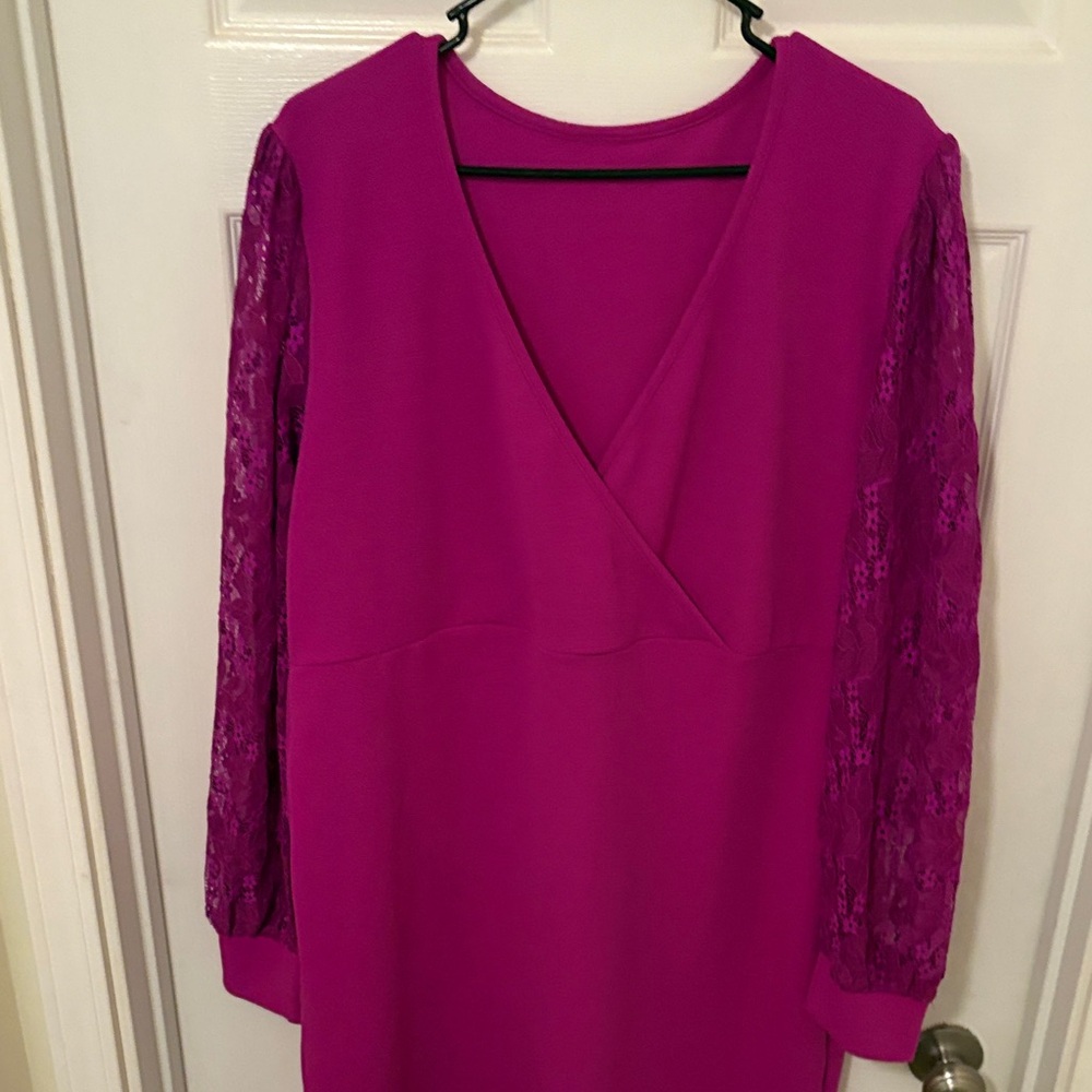 Elegant Magenta Lace Sleeve Dress